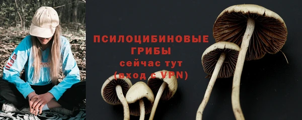 прущая мука Липки