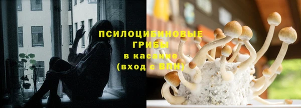 mdpv Ижевск