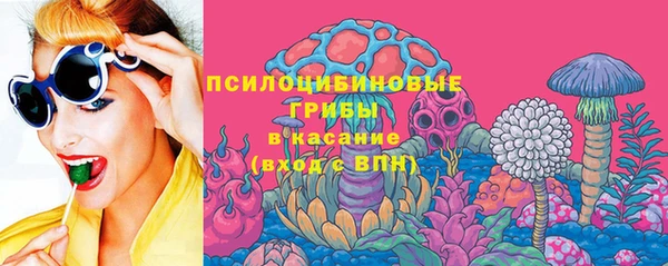 spice Лагань