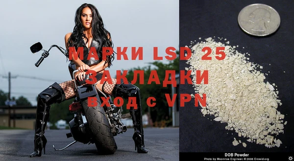 ПСИЛОЦИБИНОВЫЕ ГРИБЫ Ладушкин