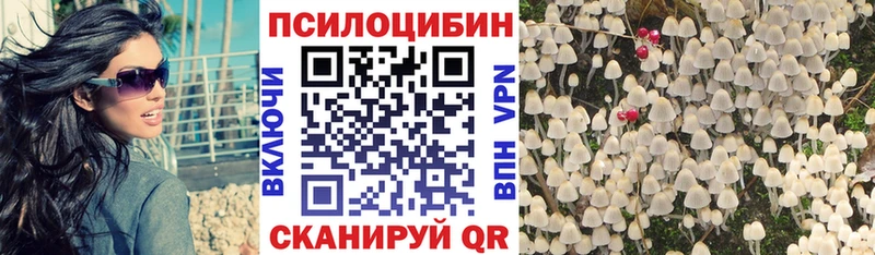 Галлюциногенные грибы Cubensis  это какой сайт  Шиханы 